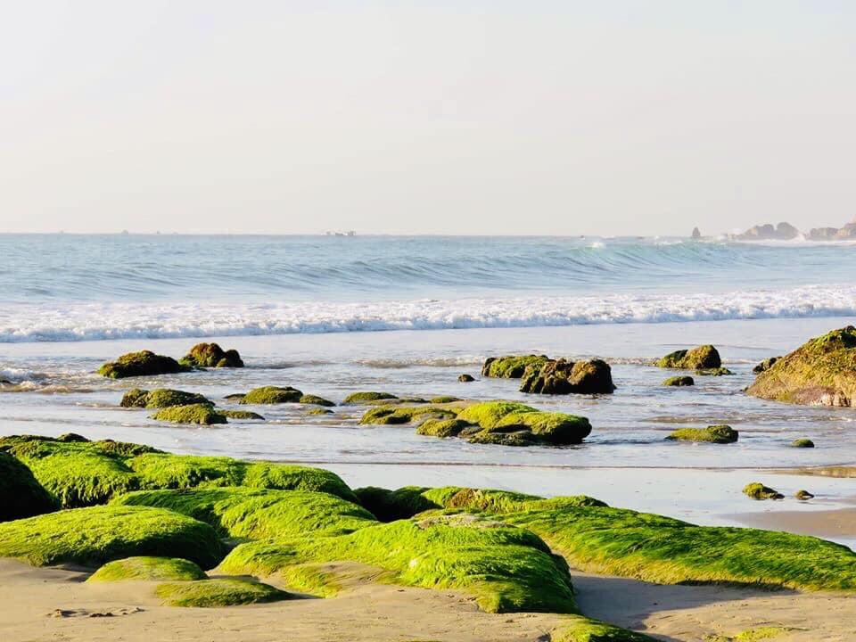 Hòa mình với thiên nhiên